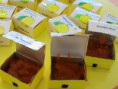 ALIMENTAÇÃO